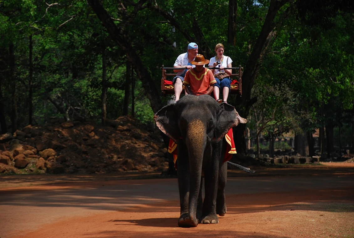 Elephant safari availability information in Pench