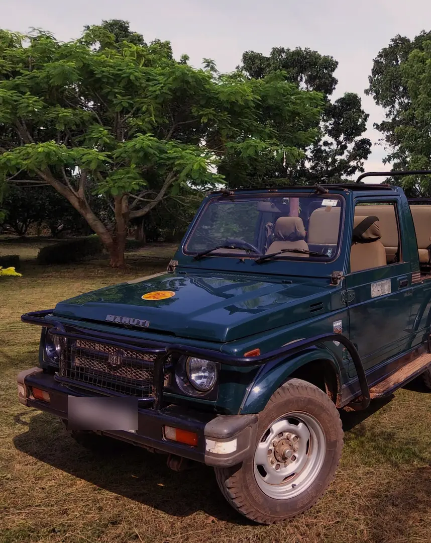 Pench safari, hotel and tour package services
