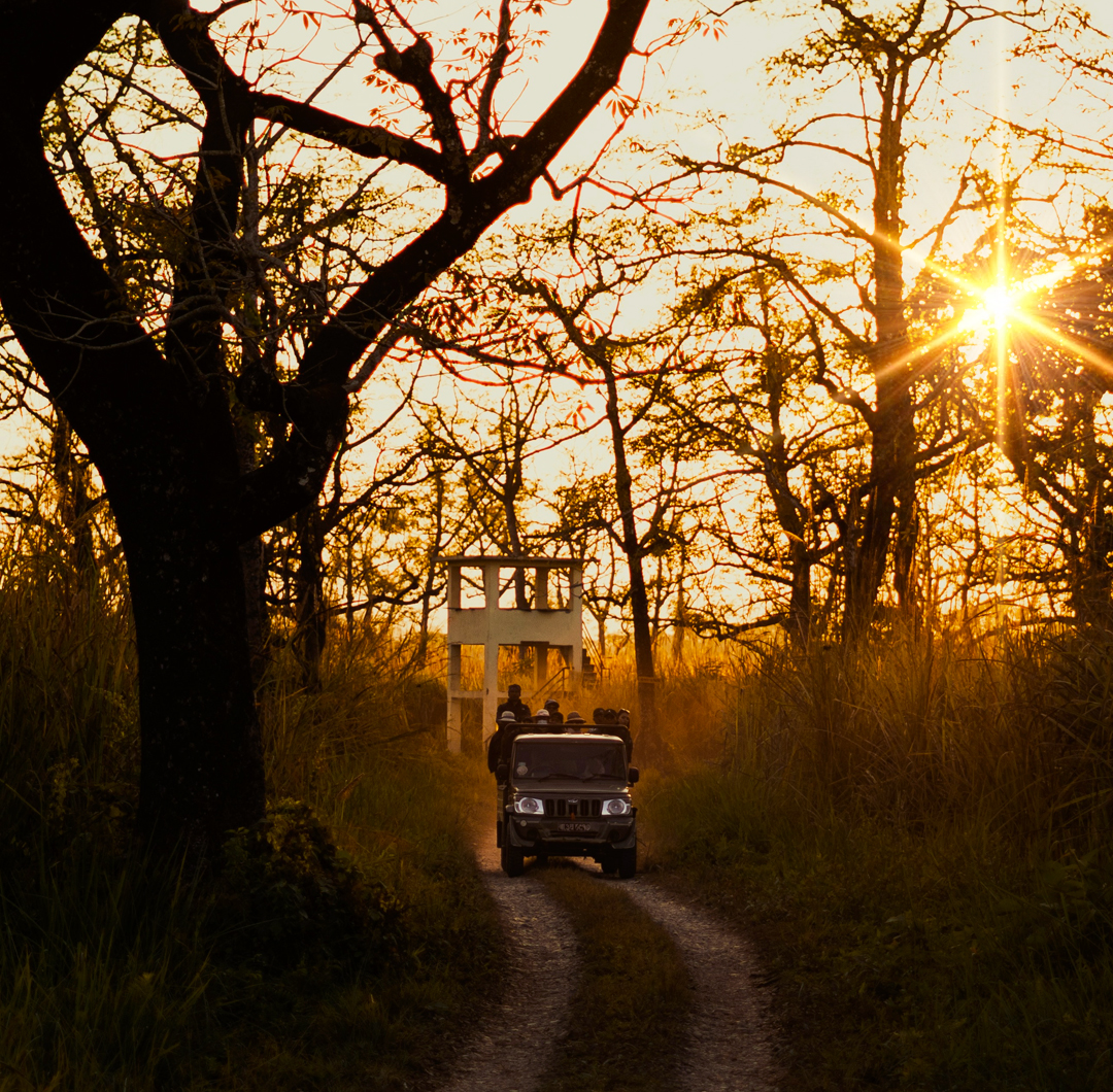 Pench Safari Booking