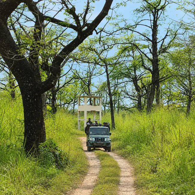 Pench safari booking tips for gypsy safari visitors