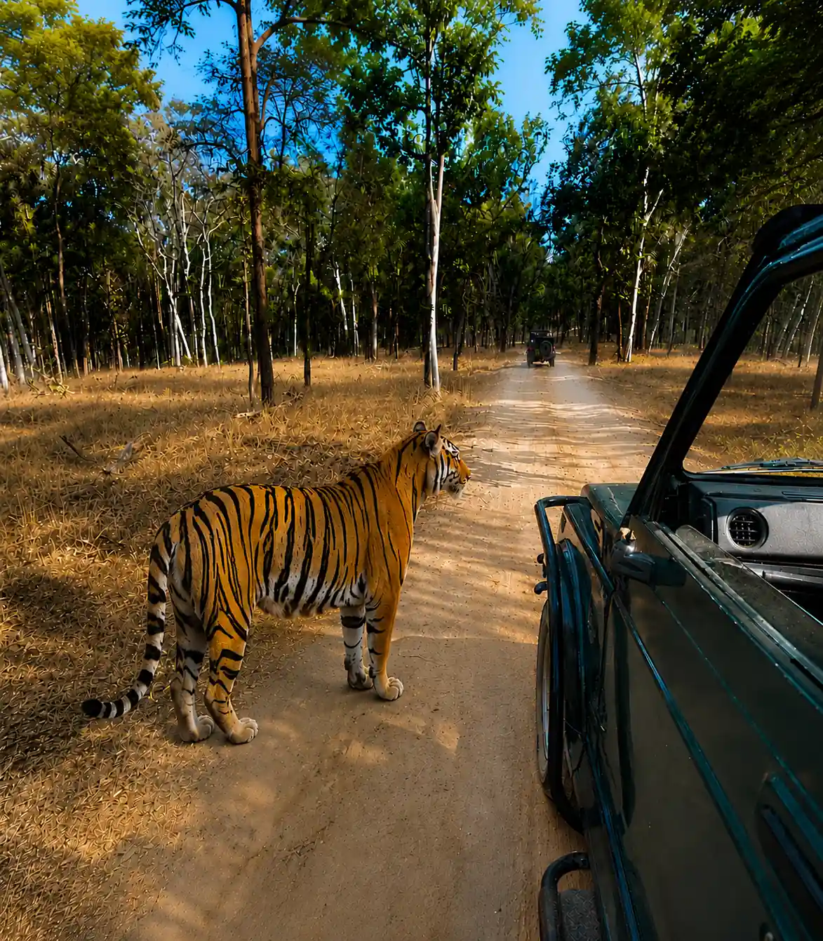 History of Pench National Park